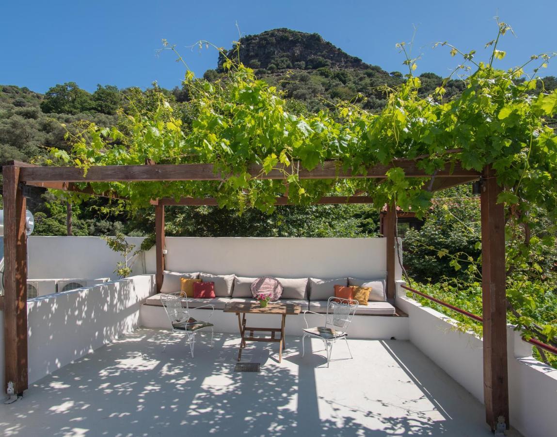 Feneri 3 -Cozy Rustic Apt 20' From Elafonisi Beach Perivolia  Exterior photo